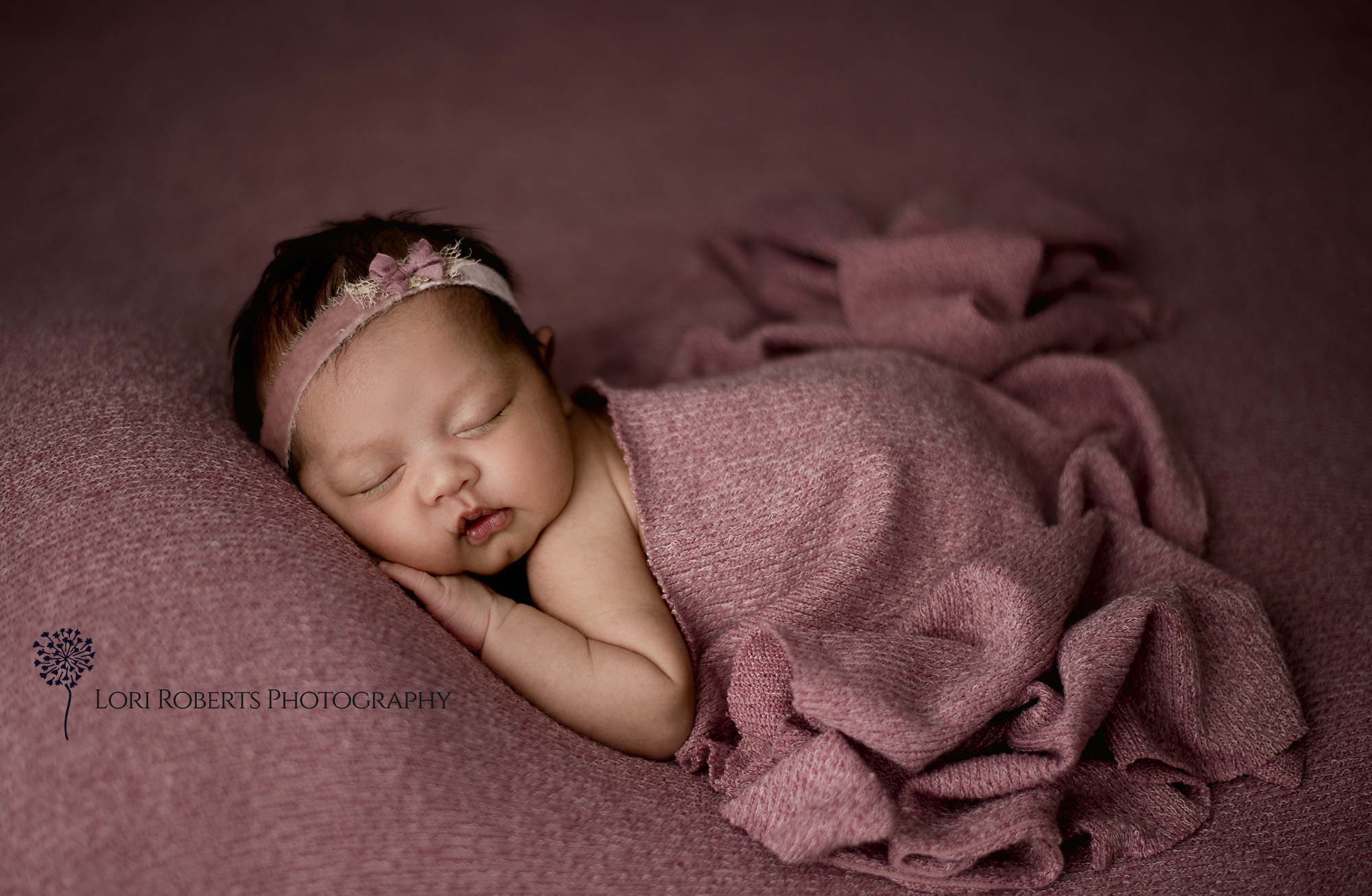 newborn portraits on pink