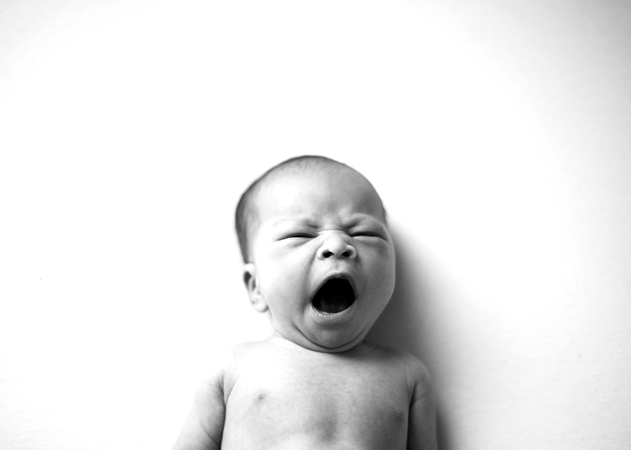 baby photographer