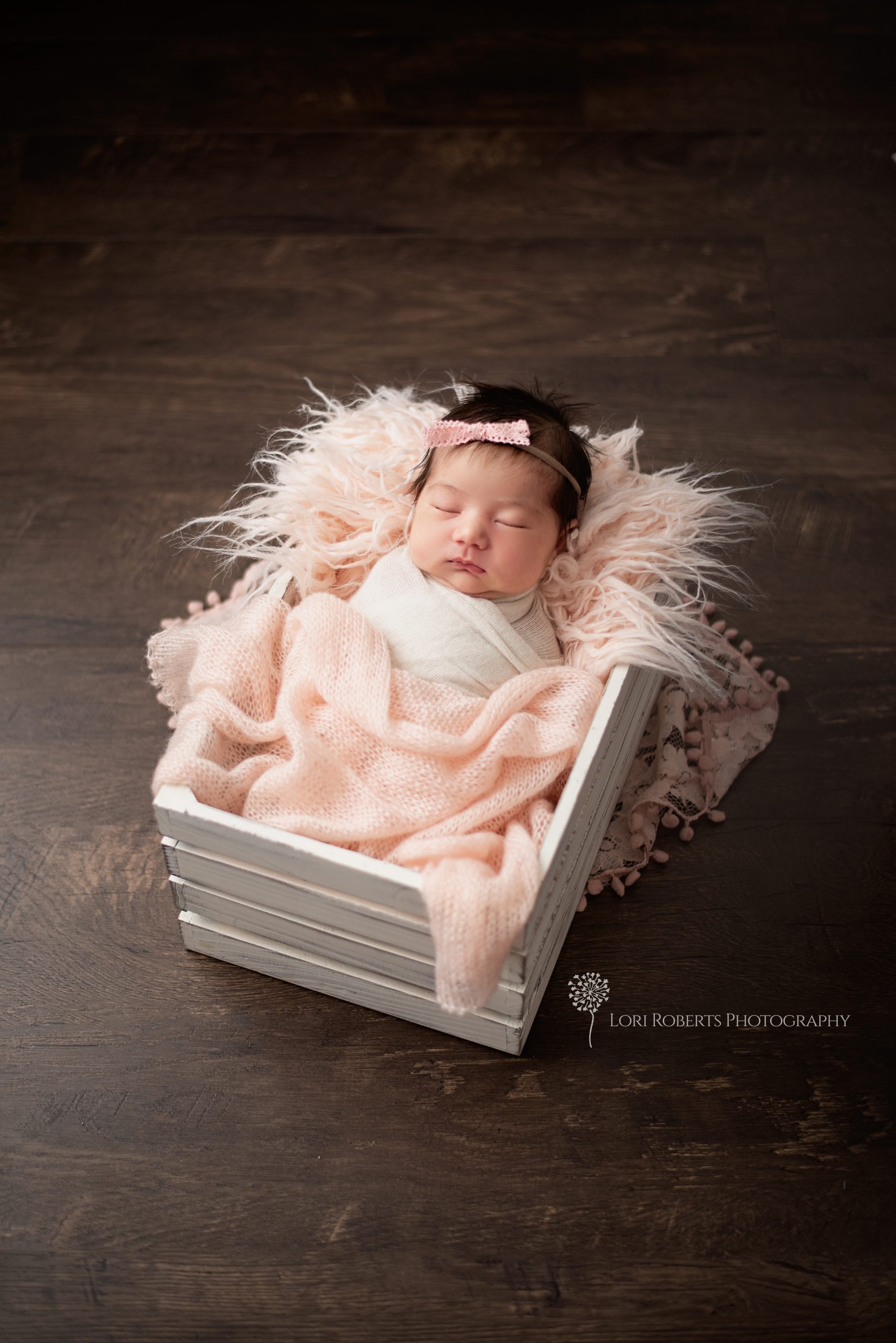 baby portrait studio