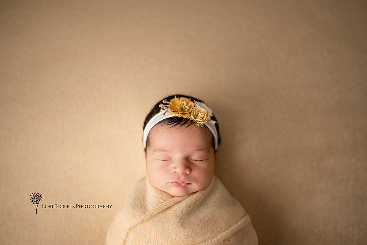 photography newborn studio