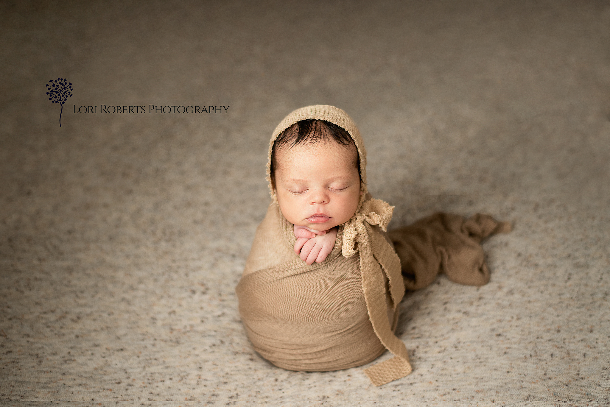 ajax newborn photography