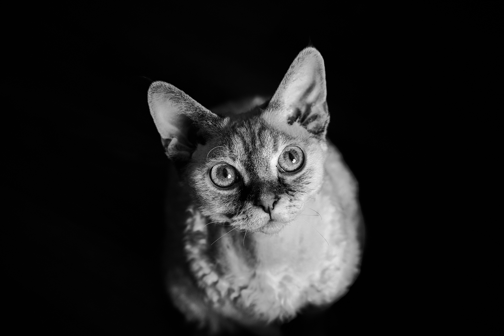 black and white portrait photography