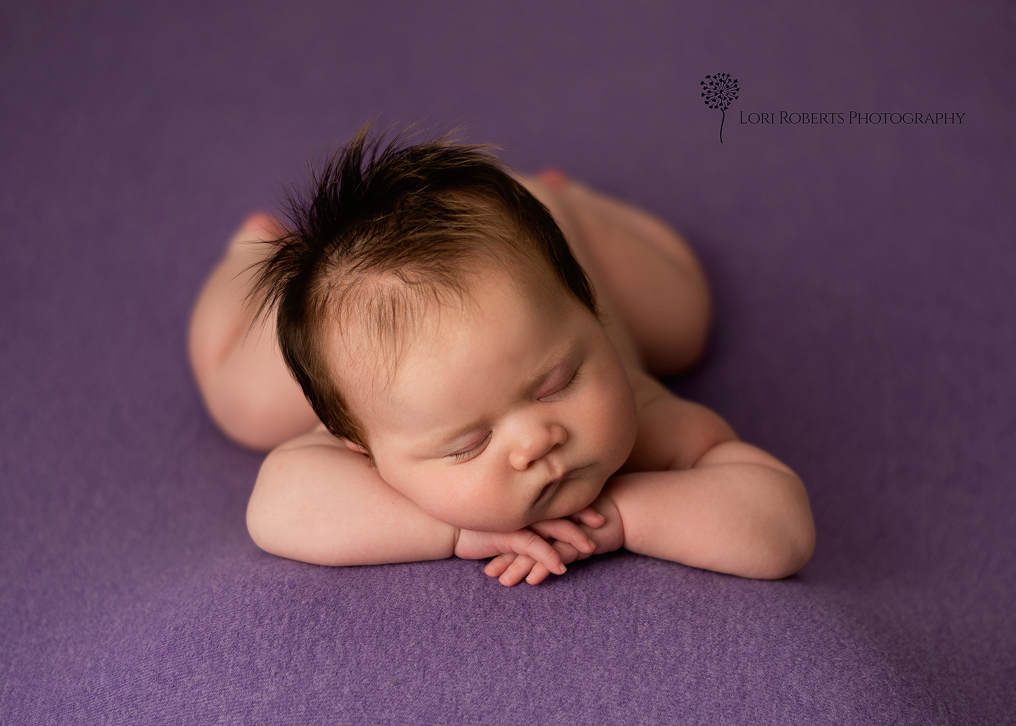 posed newborn photos