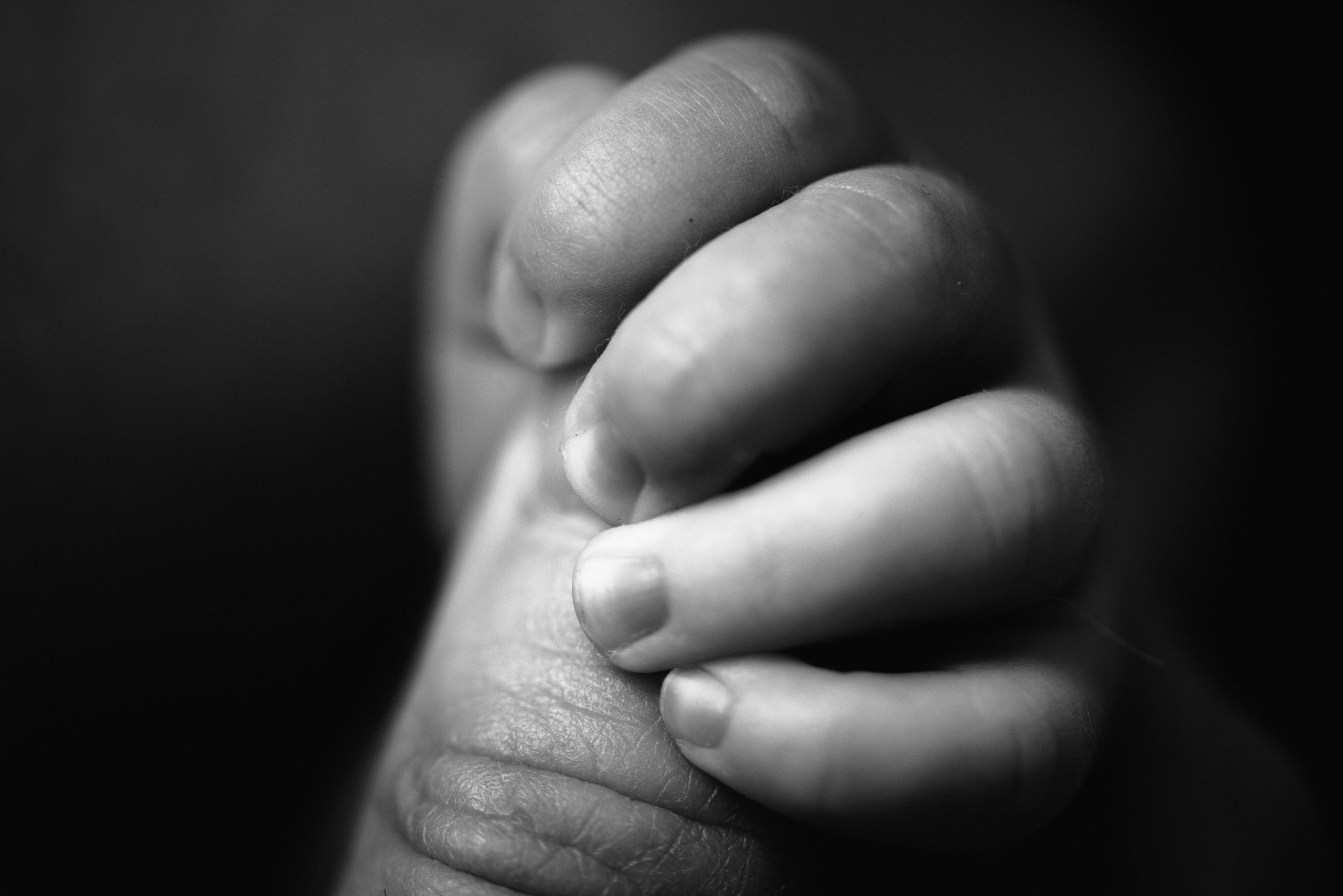 whitby newborn photographer