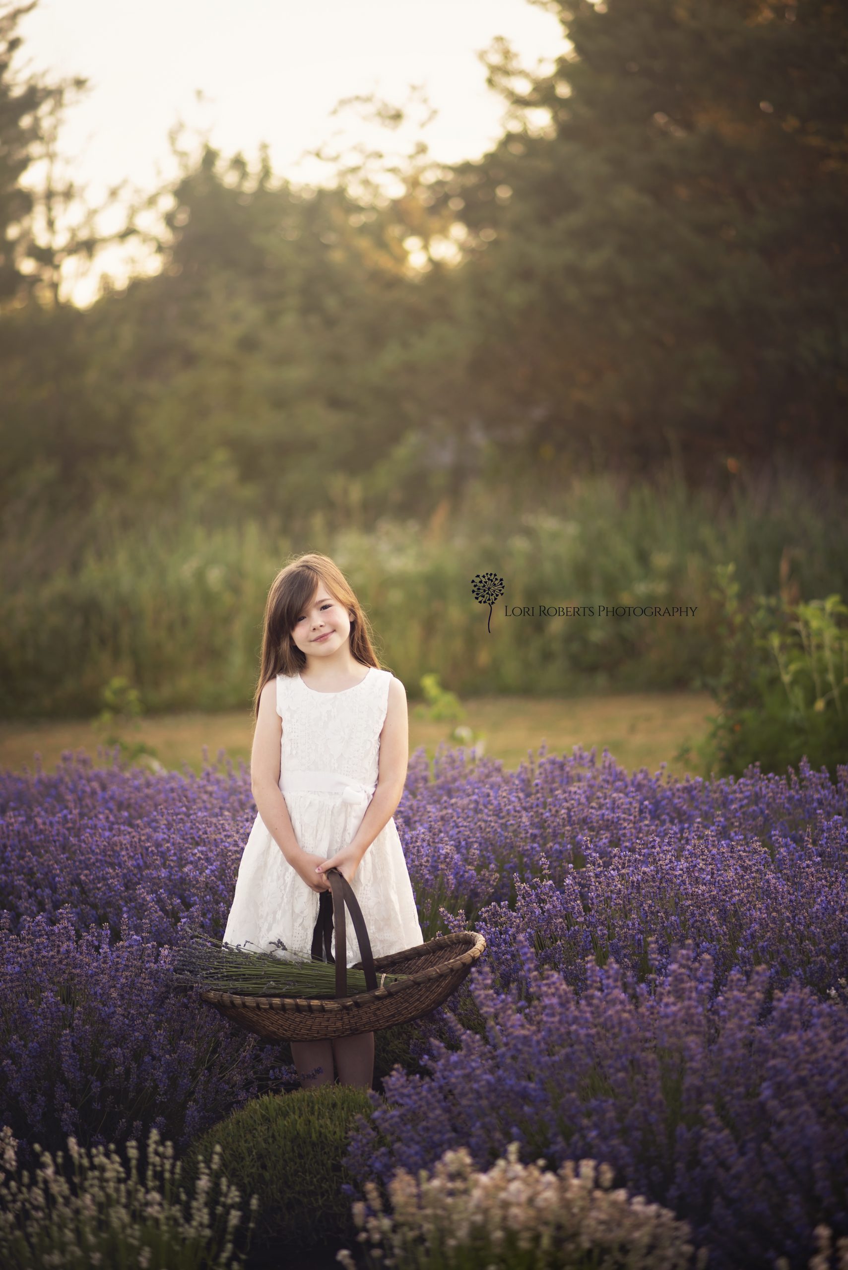 lavender blu