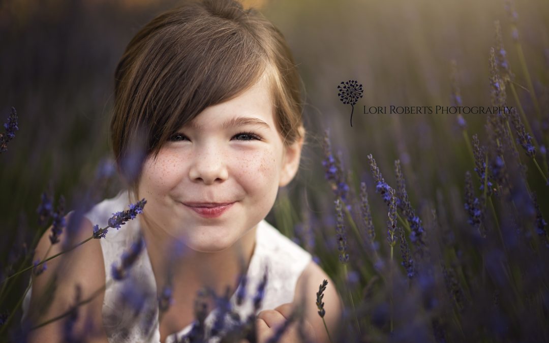 lavender blu