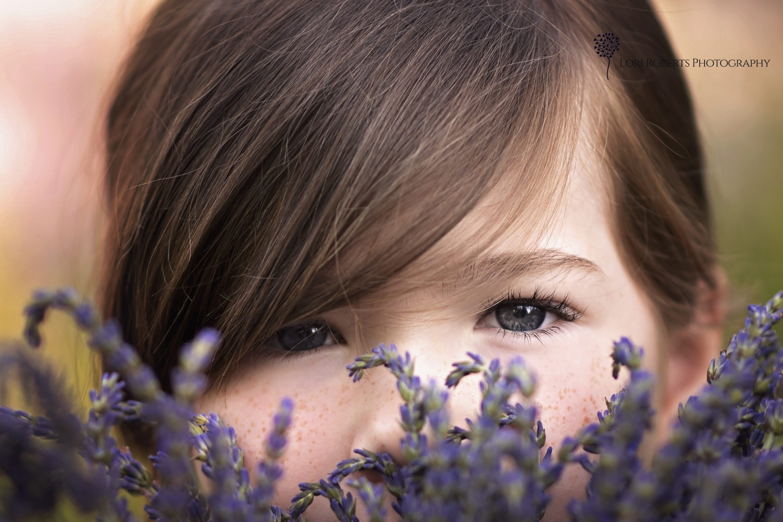 lavender farm photoshoot