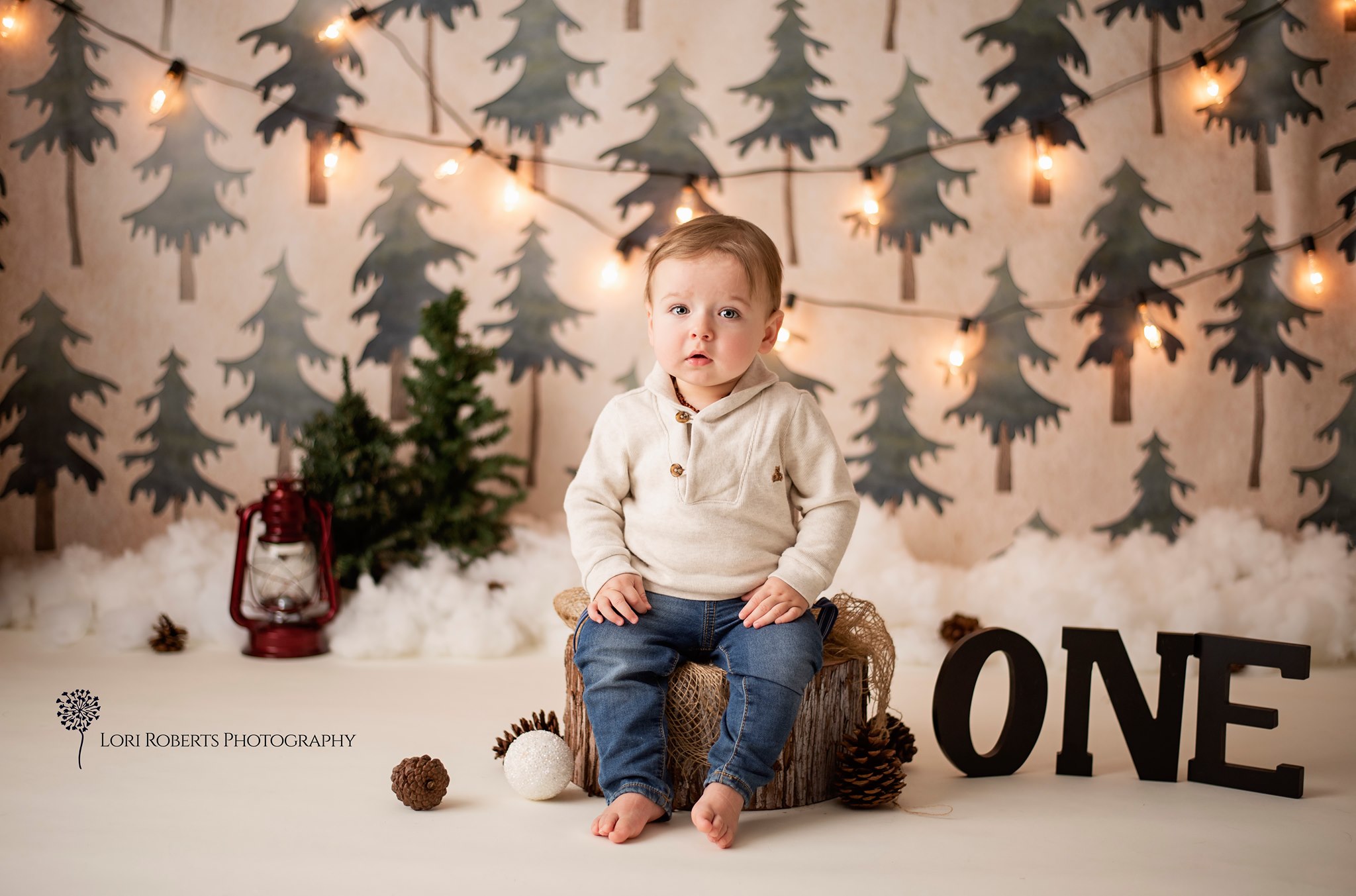 Ajax newborn photography