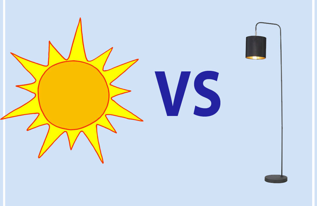 Natural Light Photos vs. Artificial Light Photos | Exploring Photographic Expression
