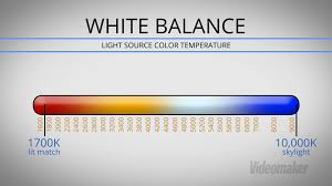 photography colour balance newborn photography pickering