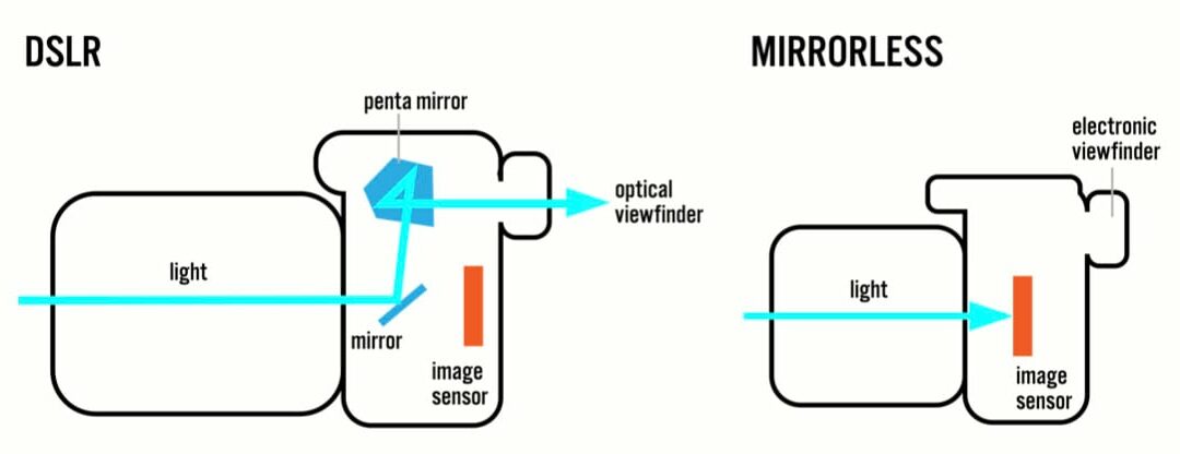 Gear in Photography | Mirrorless vs DSLR